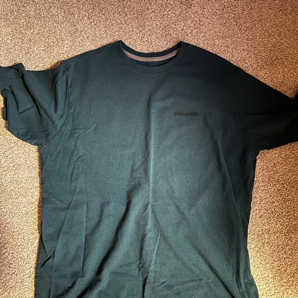 Patagonia Men's Dark Green Short Sleeve Tee